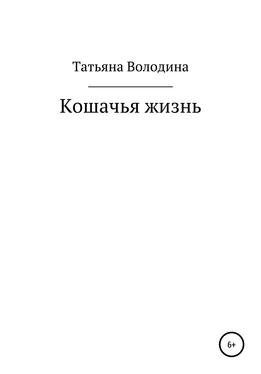 Татьяна Володина Кошачья жизнь обложка книги