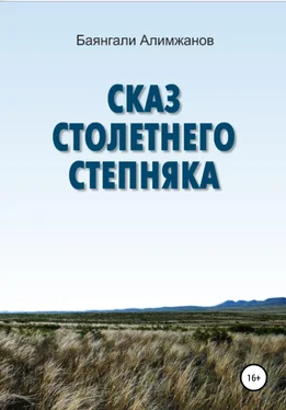 Баянгали Алимжанов Сказ столетнего степняка обложка книги