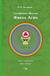Олег Чеглаков - Симфония жизни. Факел Агни. Книга четвертая. Круг первый