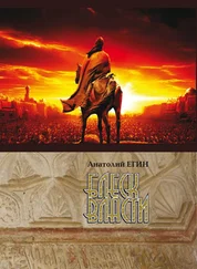 Анатолий Егин - Блеск власти