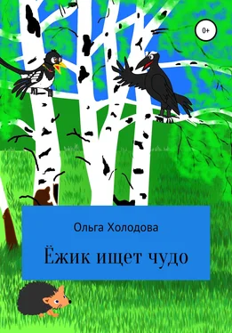 Ольга Холодова Приключение умного ёжика обложка книги