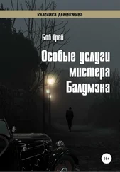 Боб Грей - Особые услуги мистера Балдмэна