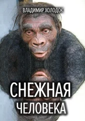 Владимир Холодок - Снежная человека