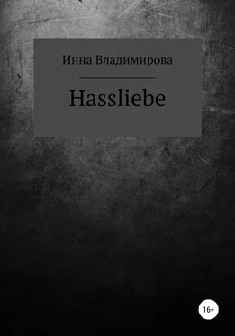 Инна Владимирова Hassliebe обложка книги