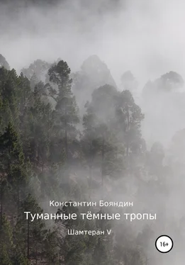 Константин Бояндин Туманные тёмные тропы