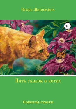 Игорь Шиповских Пять сказок о котах обложка книги