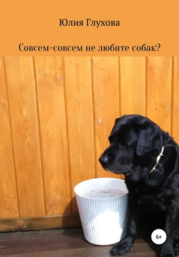 Юлия Глухова Совсем-совсем не любите собак?