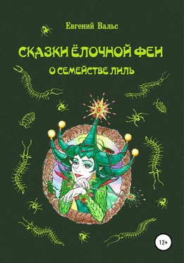 Евгений Вальс Сказки Ёлочной феи о семействе Лиль обложка книги