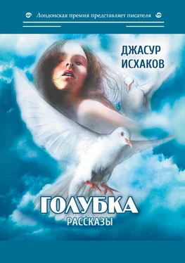 Джасур Исхаков Голубка обложка книги
