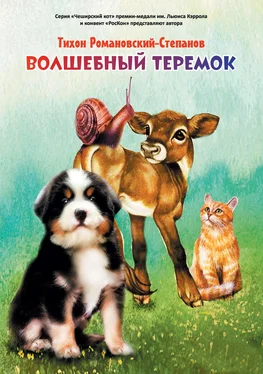 Тихон Романовский-Степанов Волшебный теремок обложка книги