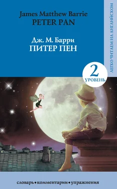 Джеймс Барри Питер Пен / Peter Pan обложка книги