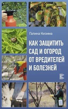 Галина Кизима Как защитить сад и огород от вредителей и болезней обложка книги