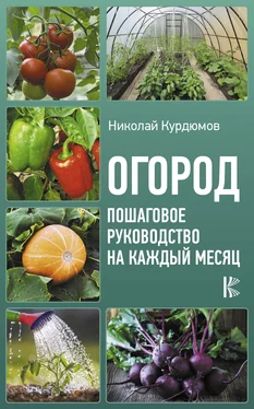 Николай Курдюмов Огород. Пошаговое руководство на каждый месяц обложка книги