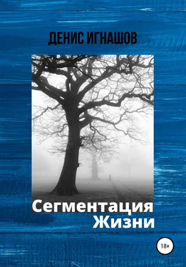 Денис Игнашов Сегментация Жизни обложка книги