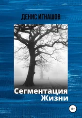 Денис Игнашов - Сегментация Жизни