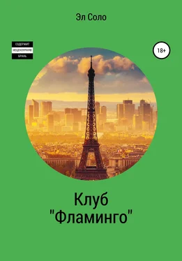 Эл Соло Клуб «Фламинго» обложка книги