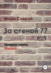 Мари Сиврэй - За стеной 77. Холодная завеса Красного