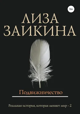 Лиза Заикина Подвижничество обложка книги