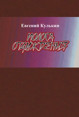 Евгений Кулькин Полоса отчуждения обложка книги
