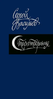 Сергей Васильев Стихотворения обложка книги