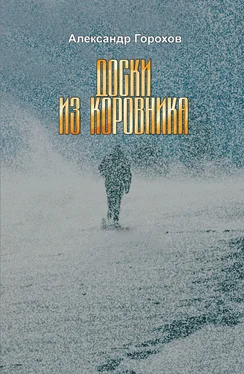 Александр Горохов Доски из коровника обложка книги