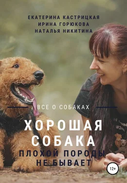 Наталья Никитина Хорошая собака плохой породы не бывает обложка книги