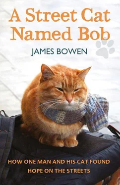 James Bowen A Street Cat Named Bob обложка книги