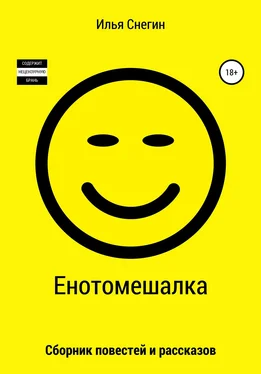 Илья Снегин Енотомешалка обложка книги