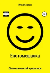Илья Снегин - Енотомешалка