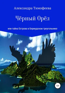 Александра Тимофеева Чёрный Орёл, или Тайна острова в Бермудском треугольнике обложка книги