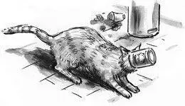 Chapter 7 Cat on a Hoxton Roof Bob and I have always been a fairly - фото 16