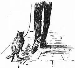 Acknowledgements Writing this book has been a collaborative process and I need - фото 53