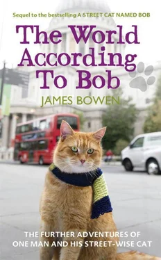 James Bowen The World According to Bob обложка книги