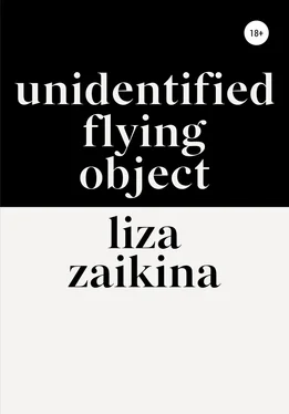 Лиза Заикина UFO обложка книги