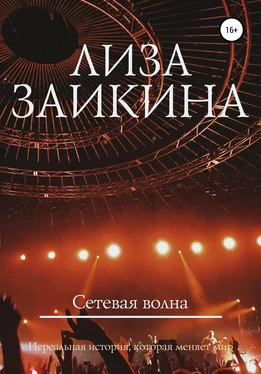 Лиза Заикина Сетевая волна обложка книги