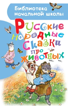 Народное творчество (Фольклор) Русские народные сказки про животных обложка книги