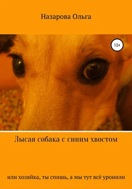 Ольга Назарова Лысая собака с синим хвостом, или хозяйка, ты спишь, а мы тут всё уронили!