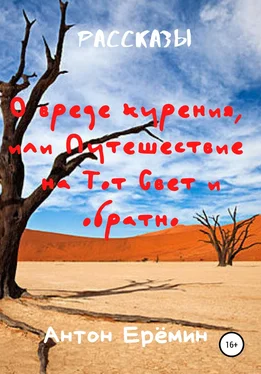 Антон Ерёмин О вреде курения, или Путешествие на Тот Свет и обратно обложка книги