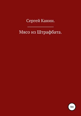 Сергей Канин Мясо из штрафбата! обложка книги