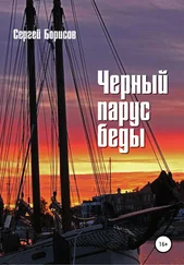 Сергей Борисов - Черный парус беды