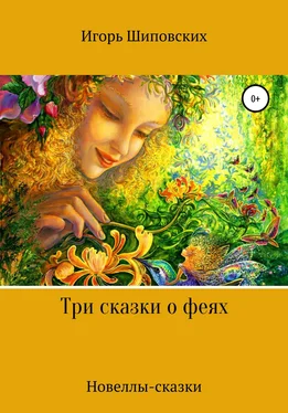 Игорь Шиповских Три сказки о феях обложка книги