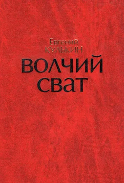 Игорь Кулькин Волчий Сват обложка книги