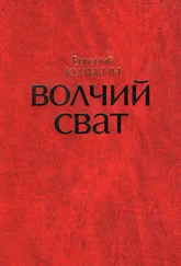Игорь Кулькин - Волчий Сват