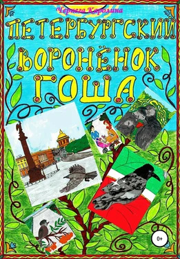 Каролина Чернега Петербургский воронёнок Гоша обложка книги