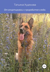 Татьяна Худякова - От апортировки к проработке следа