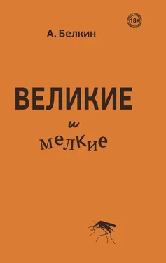 Анатолий Белкин Великие и мелкие обложка книги