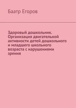 Баатр Егоров Здоровый дошкольник. Организация двигательной активности детей дошкольного и младшего школьного возраста с нарушениями зрения обложка книги