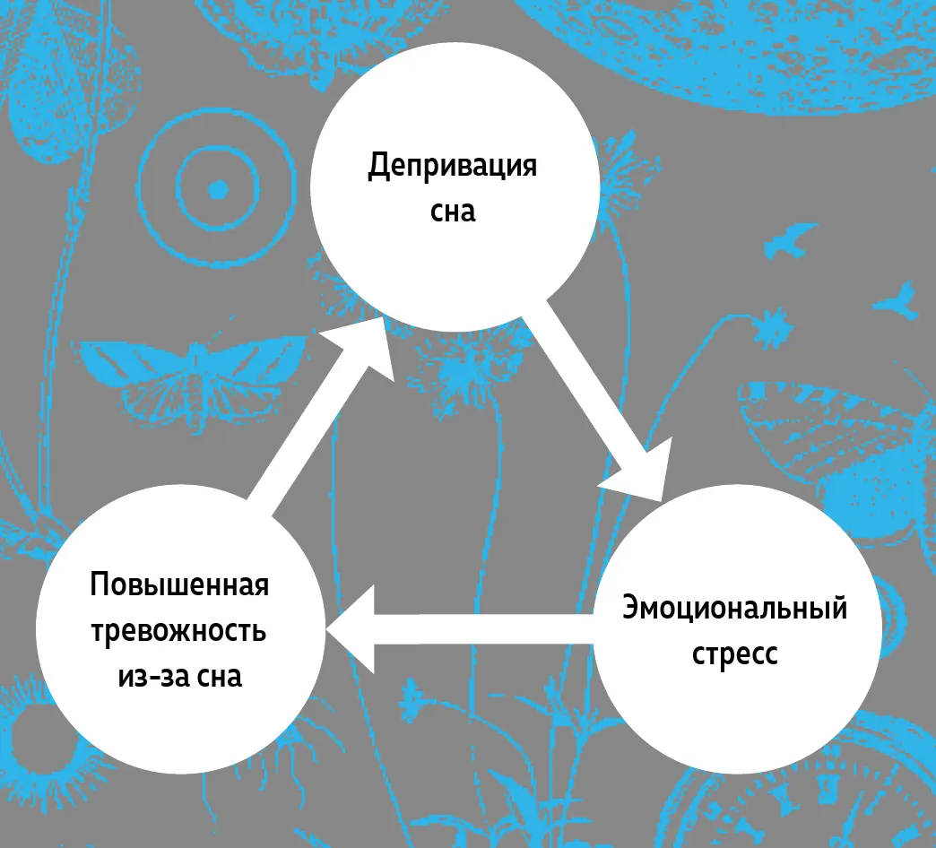 У страдающих от бессонницы часто бывают нереалистичные требования ко сну и - фото 14