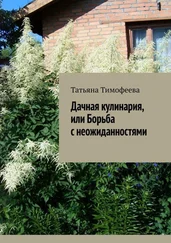 Татьяна Тимофеева - Дачная кулинария, или Борьба с неожиданностями