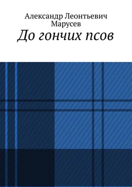 Александр Марусев До гончих псов обложка книги